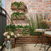 "Outdoor Acacia Planter: A stylish wooden planter for outdoor spaces.