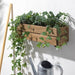 Outdoor Acacia: Durable and weather-resistant planter for outdoor use