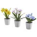 Set of 3 IKEA FEJKA artificial potted plants with pots, suitable for indoor and outdoor use, 6 cm (2 ¼ ").