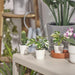 Miniature artificial plants with pots, IKEA FEJKA set of 3, ideal for in/outdoor decor, 6 cm (2 ¼ ").