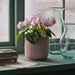 IKEA FEJKA artificial potted plant in pink pot side angle view