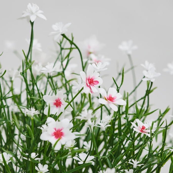 IKEA FEJKA Artificial Baby's Breath Plant — White, 9cm | No Watering, Indoor & Outdoor