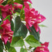 Close-up of IKEA FEJKA artificial bougainvillea pink flowers and leaf detailing