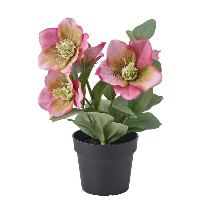 IKEA FEJKA artificial potted plant Christmas rose pink 9cm in white pot #70637318