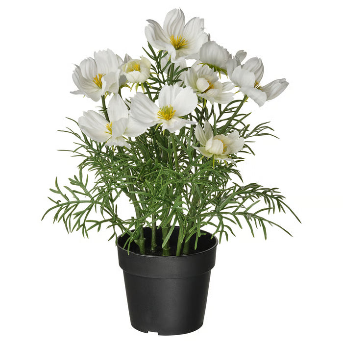 IKEA FEJKA Artificial Cosmos Plant — White, 9cm | Indoor & Outdoor, Zero Maintenance