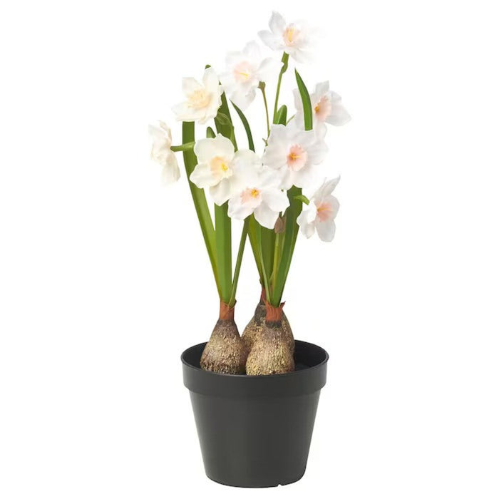 Premium IKEA FEJKA Artificial Potted Plant – Daffodil white, 12 cm, suitable for indoor and outdoor decor