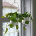 "Artificial Golden Pothos plant by IKEA, designed for both indoor and outdoor settings. Features trailing vines with heart-shaped green leaves in a 12 cm (4 ¾ inch) diameter black pot-50578070    