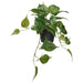 "Artificial Golden Pothos plant by IKEA, suitable for both indoor and outdoor use. Features long, trailing vines of heart-shaped green leaves in a 12 cm (4 ¾ inch) diameter black pot.50578070    