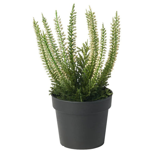 Digital Shoppy IKEA FEJKA Artificial Heather Potted Plant, 9 cm, suitable for indoor and outdoor use  40582505