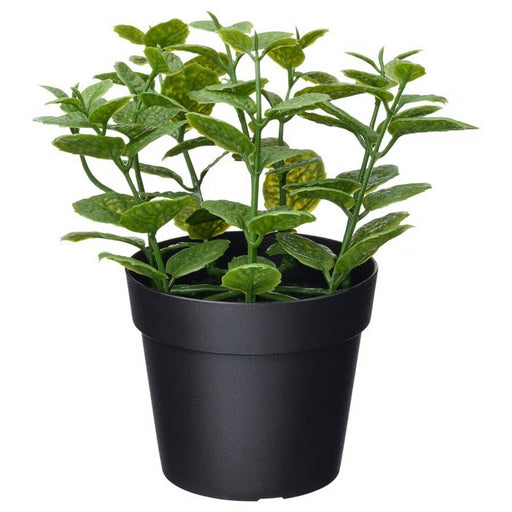 Small mint-green FEJKA artificial potted plant by IKEA, 9 cm, for indoor or outdoor decor. 20600869