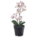 IKEA FEJKA Artificial Orchid potted plant in light purple, perfect for indoor or outdoor use, 9 cm (3 ½ ").