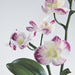 Realistic IKEA FEJKA artificial Orchid, light purple, potted for easy placement indoors or outdoors, 9 cm (3 ½ ").