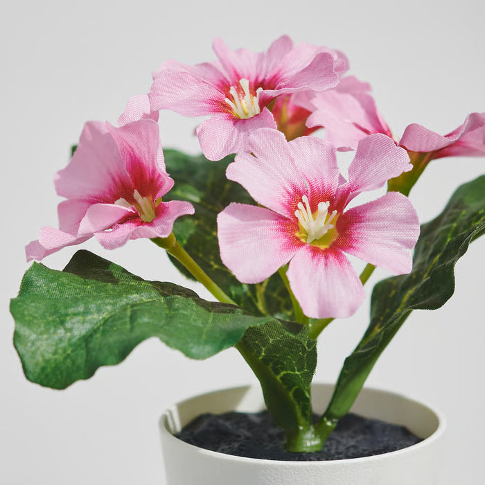 Close-up of IKEA FEJKA artificial primrose mixed colour flowers showing lifelike petal detailing