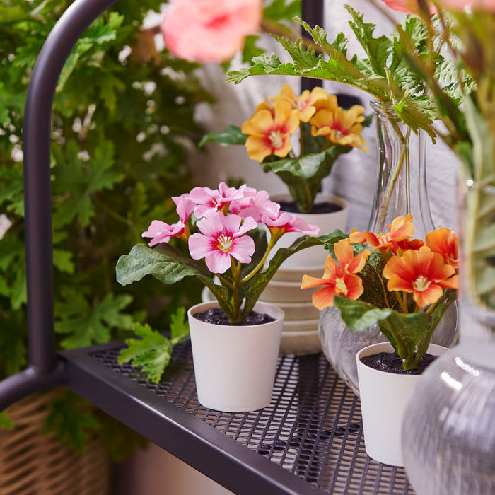 IKEA FEJKA artificial primrose plants three mixed colour mini pots arranged on a surface