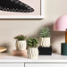 IKEA FEJKA artificial succulent trio clustered on a wooden shelf in a home setting