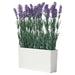 Artificial lavender plant in a white rectangular pot on a white background