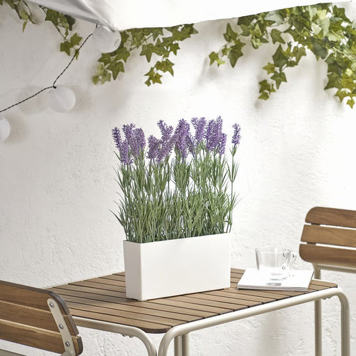 White planter with lavender on a wooden table against a white wall with ivy