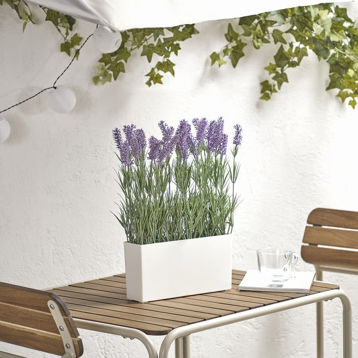 White planter with lavender on a wooden table against a white wall with ivy