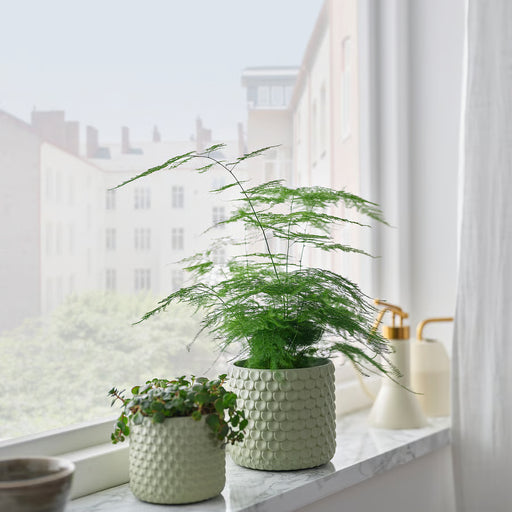  IKEA GLACIÄRBJÖRN light green plant pots on white windowsill with indoor plants curtains background