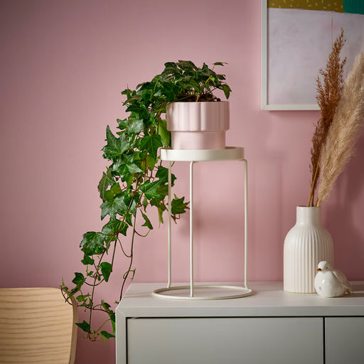  IKEA HÄNGSÄLG light pink plant pot with trailing plant hanging on pink wall beside wooden stool