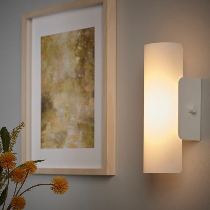 Framed artwork on a wall with a wall-mounted light fixture and plant.