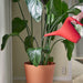 Close-up of IKEA PS 2002 red watering can spout and handle design