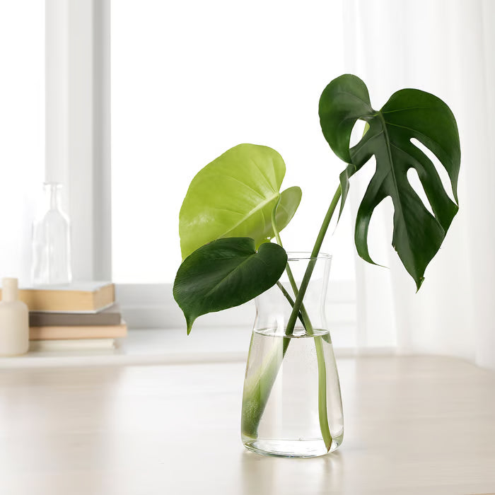 IKEA KARAFF clear glass carafe used as a flower vase with large green leaves on a light wooden table