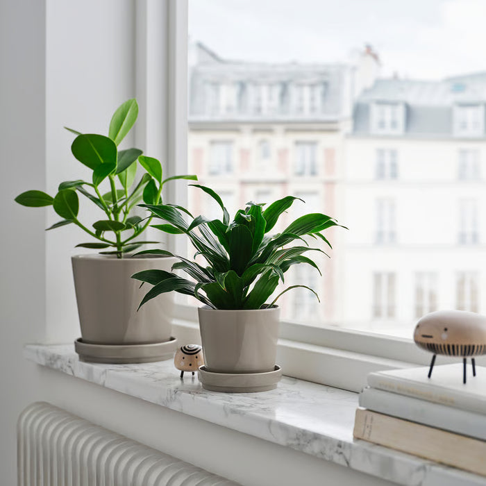 Two IKEA KLOTLÖNN grey stoneware plant pots with different plants on a window sill