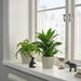 IKEA KÖRSBÄRSBJÖRK grey-beige plant pots in multiple sizes on a windowsill with green plants and decor