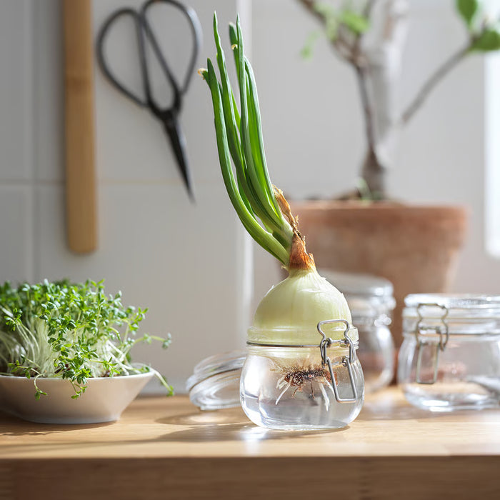IKEA KORKEN 0.5L glass jar with lid, clear glass, side profile view showing height and diameter