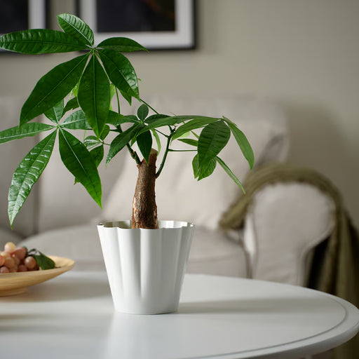 IKEA KVASTSPIREA off-white plant pot styled with small potted plant on shelf home décor setting