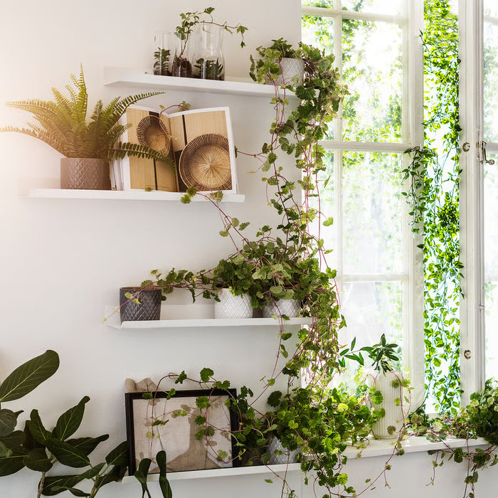 IKEA MALMBÄCK white display shelves with plants and décor items near a window