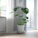 IKEA OLIVBLAD plant mover supporting a large potted plant, demonstrating its practicality for indoor and outdoor use. 30561315
