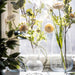 Multiple IKEA PÅDRAG clear glass vases with white flowers and greenery on a window sill