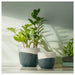 Versatile SAGOGRYN plant pot showcasing various plant types and styles