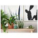IKEA SJÄLSLIGT green ceramic cacti styled on a shelf with real plants and cactus print artwork
