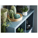 IKEA SJÄLSLIGT green ceramic cactus set on a blue wall shelf alongside live plants in minimalist room