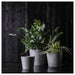 Digital Shoppy IKEA SKOGSVINBÄR 12 cm plant pot in grey, used for both indoor and outdoor plants, with a modern aesthetic 20508451