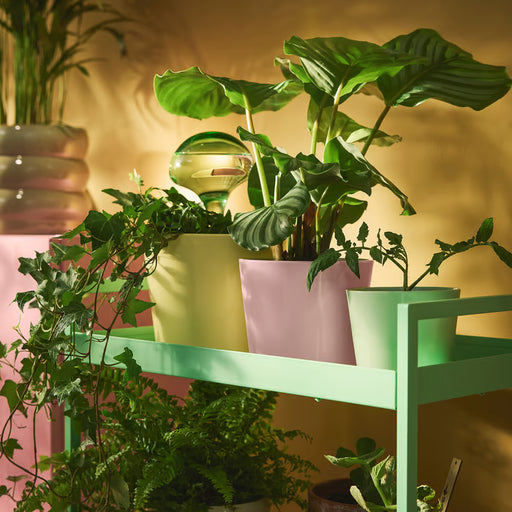 IKEA SOJABÖNA light green plant pot styled on shelf with light fixture in home setting