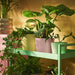 IKEA SOJABÖNA light green plant pot styled on shelf with light fixture in home setting