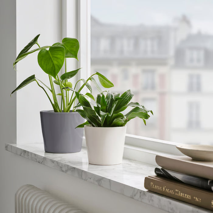 IKEA SOJABÖNA white plant pot on windowsill paired with grey tall pot and green leafy plants