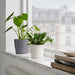 IKEA SOJABÖNA white plant pot on windowsill paired with grey tall pot and green leafy plants