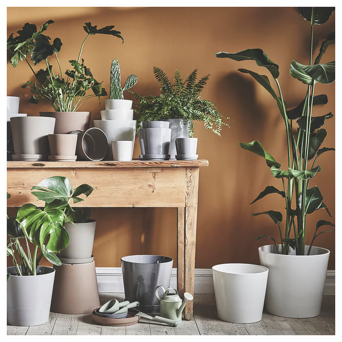 IKEA SOJABÖNA white and grey earthenware plant pots arranged on wooden shelves