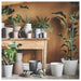 IKEA SOJABÖNA white and grey earthenware plant pots arranged on wooden shelves
