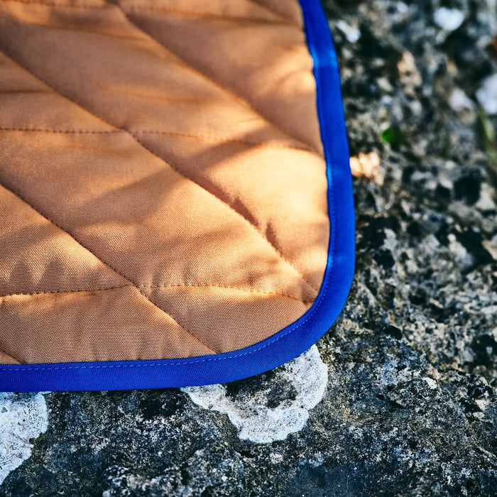 brown picnic blanket with blue border on a textured surface