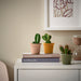 IKEA STJÄRNSLINKE plant pots in assorted colours holding small cacti displayed on books with floral print