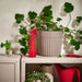  IKEA TOMAT red spray bottle styled with indoor potted plants on a shelf