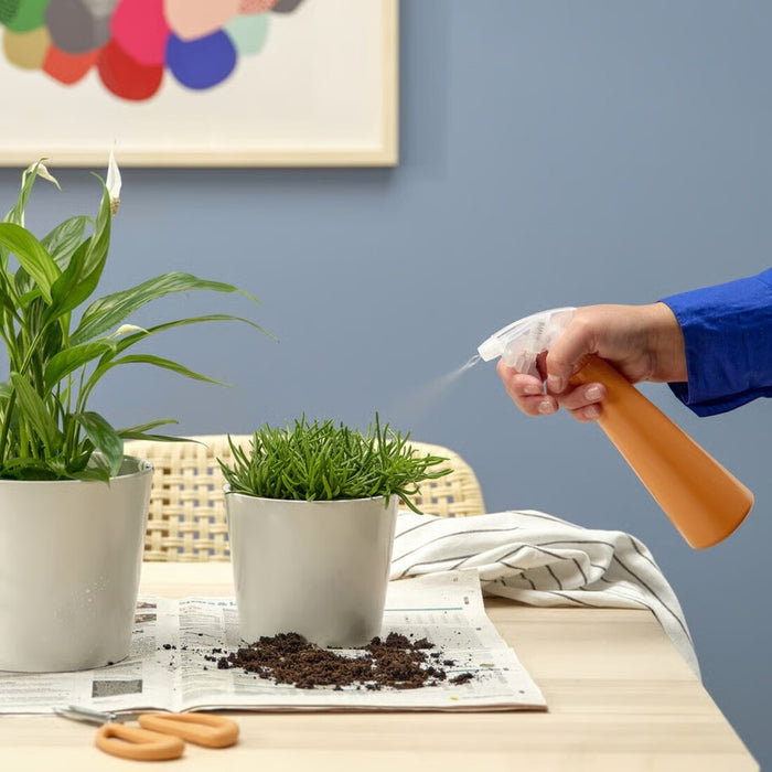 Person watering a plant with an orange spray bottle on a table with a blue wall background.