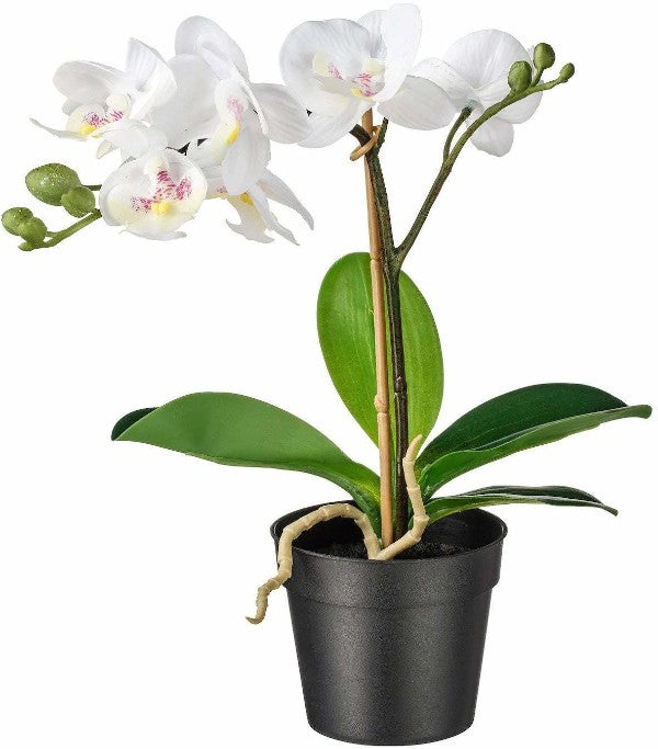 IKEA Plant pot, in/outdoor light pink, 9 cm WITH Artificial potted plant, Orchid white, 9 cm
