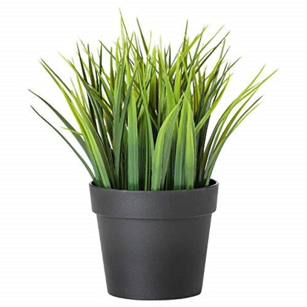 IKEA  FEJKA Artificial potted plant, in/outdoor grass, 9 cm WITH Plant pot  black, 9 cm
